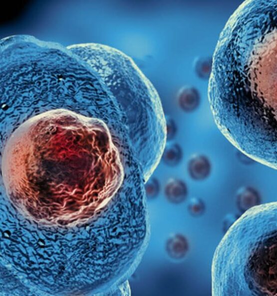 Orthopaedic Stem Cell Training Course